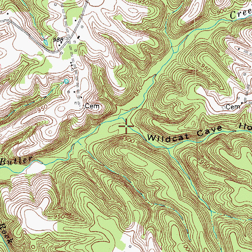 Topographic Map of Wildcat Cave Hollow, KY