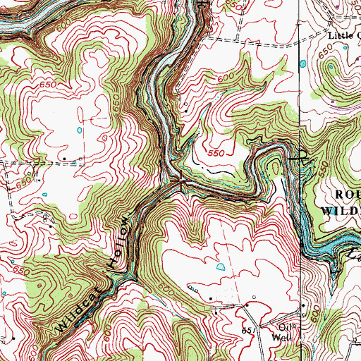 Topographic Map of Wildcat Hollow, KY
