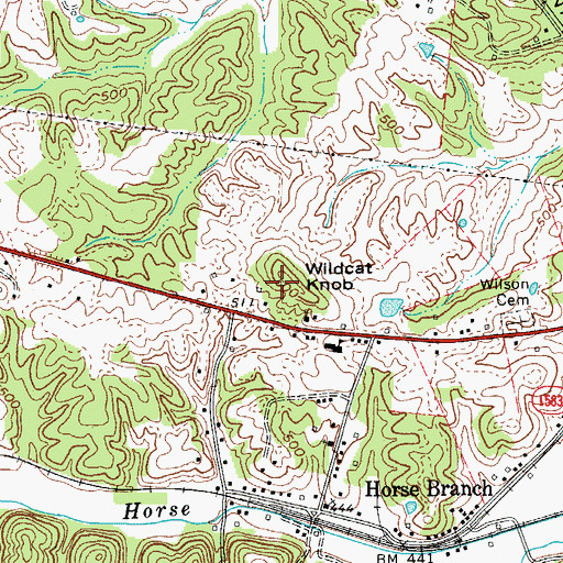 Topographic Map of Wildcat Knob, KY