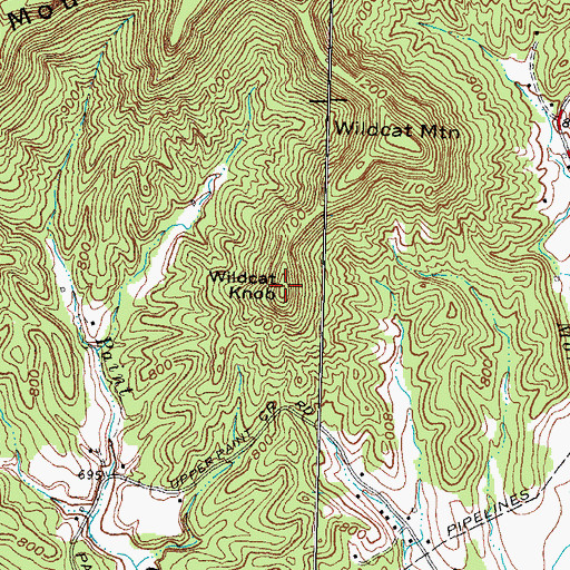 Topographic Map of Wildcat Knob, KY