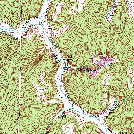 Topographic Map of Wildlick Branch, KY