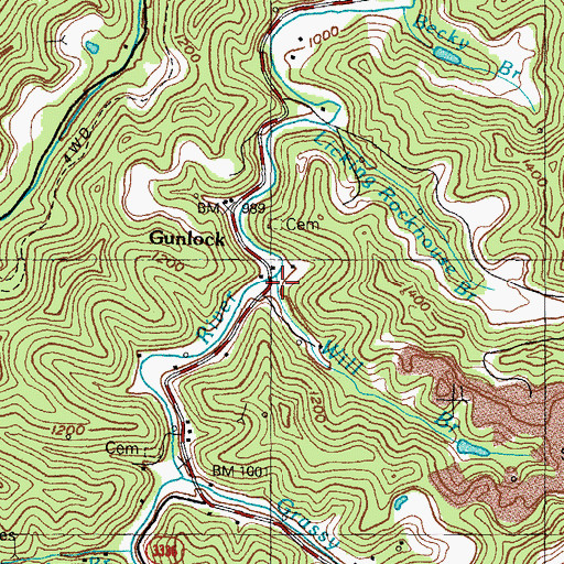 Topographic Map of Will Branch, KY