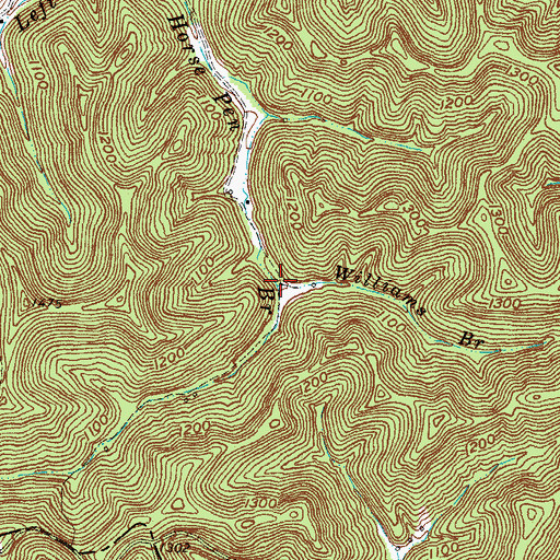 Topographic Map of Williams Branch, KY