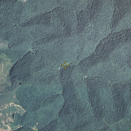 Aerial/Satellite Image of Williams Fork, KY