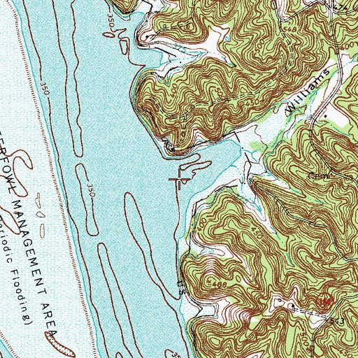 Topographic Map of Williams Hollow, KY