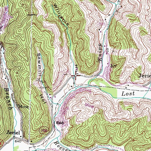 Topographic Map of Williams Hollow, KY
