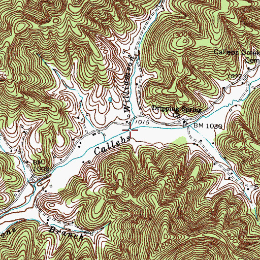 Topographic Map of Williamson Branch, KY