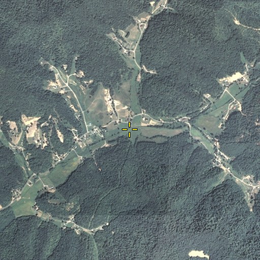 Aerial/Satellite Image of Williamson Branch, KY