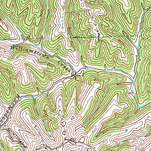 Topographic Map of Williamstown Creek, KY