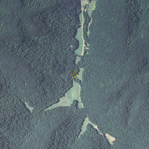 Aerial/Satellite Image of Willim Branch, KY