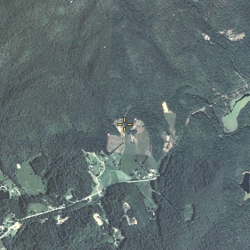Aerial/Satellite Image of Willis Branch, KY