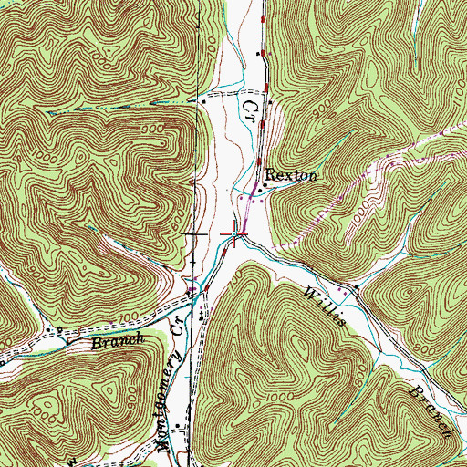 Topographic Map of Willis Branch, KY