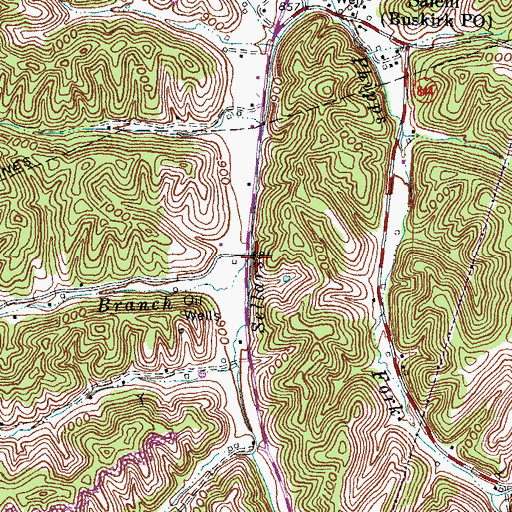 Topographic Map of Wilson Branch, KY