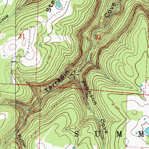 Topographic Map of Johnson Cove, AR