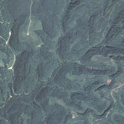 Aerial/Satellite Image of Wireman Fork, KY
