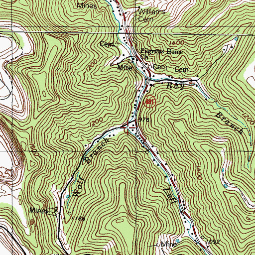 Topographic Map of Wolf Branch, KY