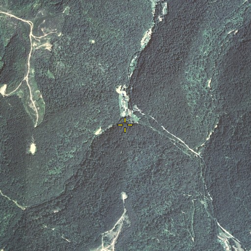 Aerial/Satellite Image of Wolf Pen Branch, KY