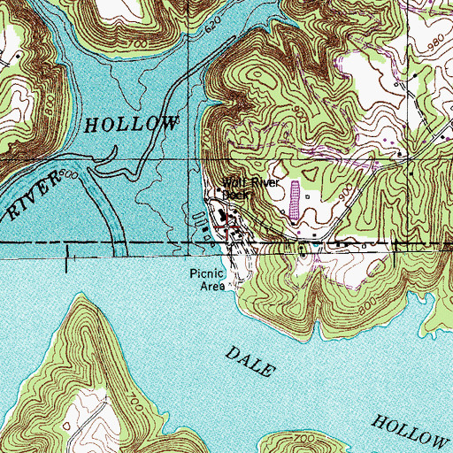 Topographic Map of Wolf River Dock, KY