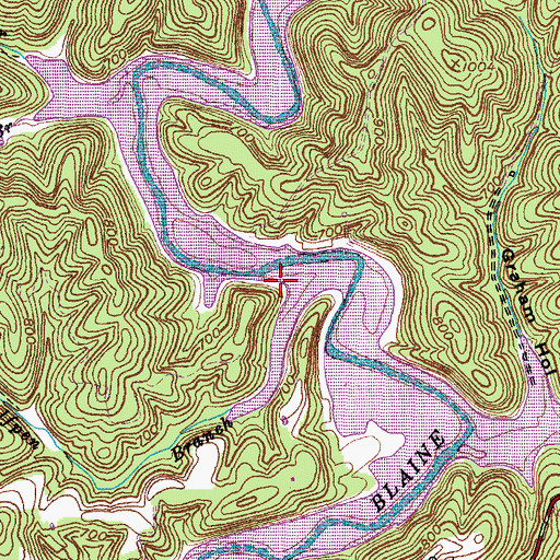 Topographic Map of Wolfpen Branch, KY