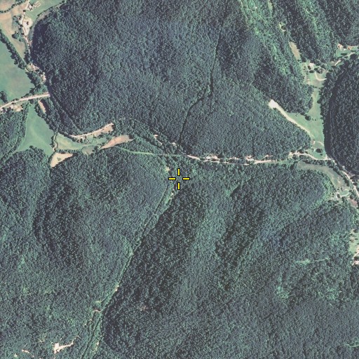 Aerial/Satellite Image of Wolfpen Branch, KY