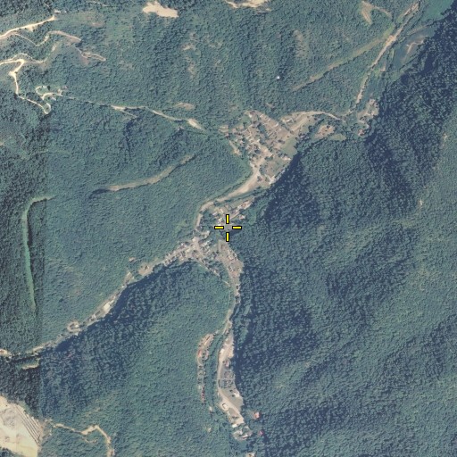 Aerial/Satellite Image of Wolfpit Branch, KY