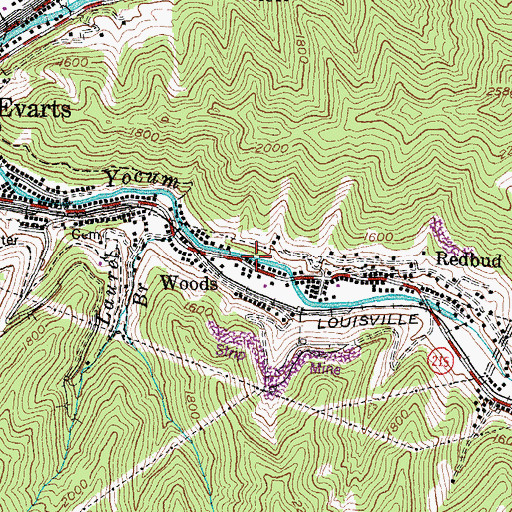 Topographic Map of Woods, KY