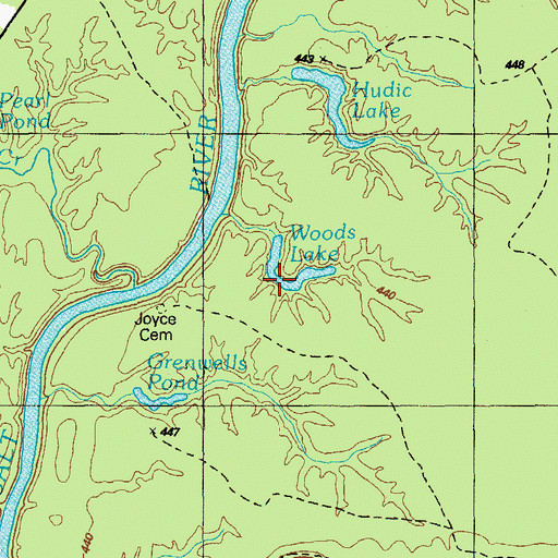 Topographic Map of Woods Lake, KY