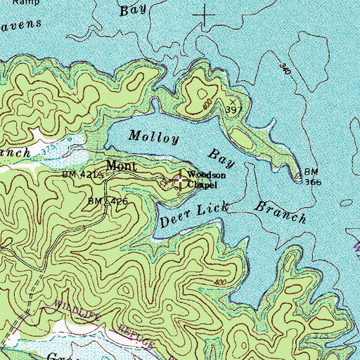 Topographic Map of Woodson Chapel, KY