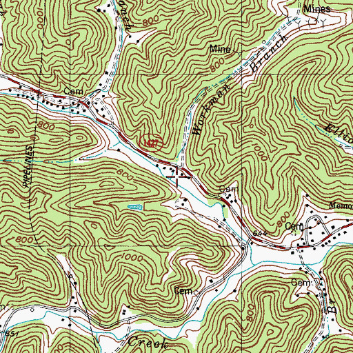 Topographic Map of Workman Branch, KY