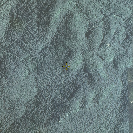 Aerial/Satellite Image of Yellow Cliff, KY