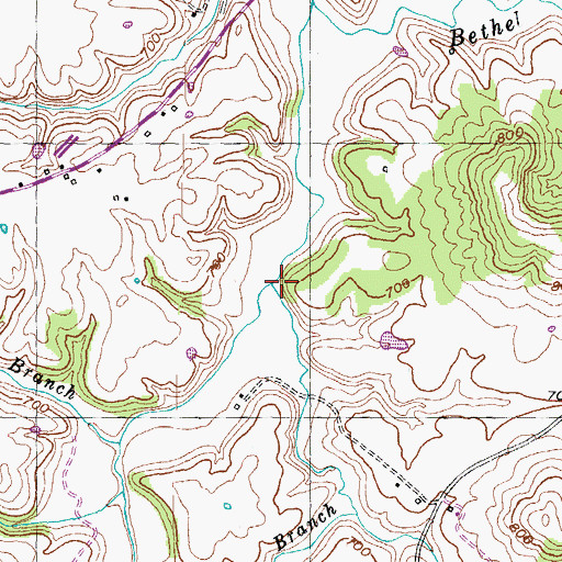 Topographic Map of Yellowlick Branch, KY