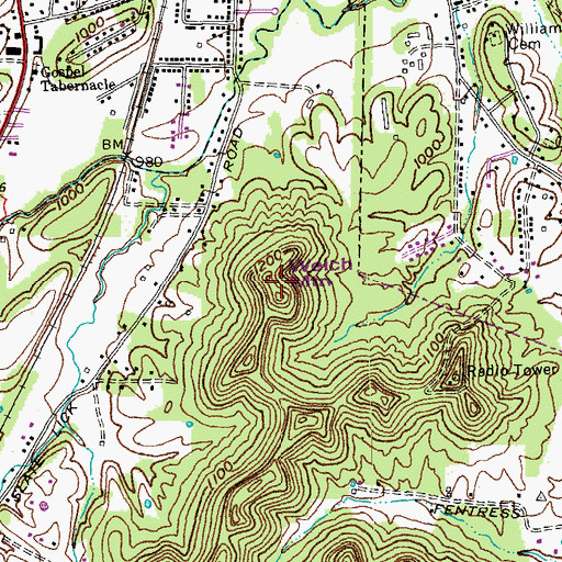 Topographic Map of Welch Mountain, KY