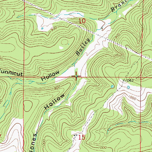 Topographic Map of Jones Hollow, AR