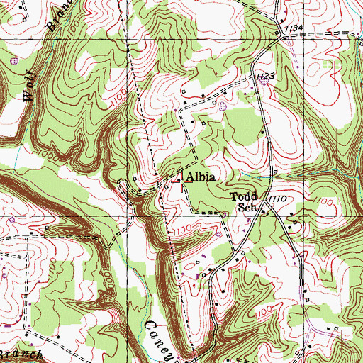 Topographic Map of Albia, KY