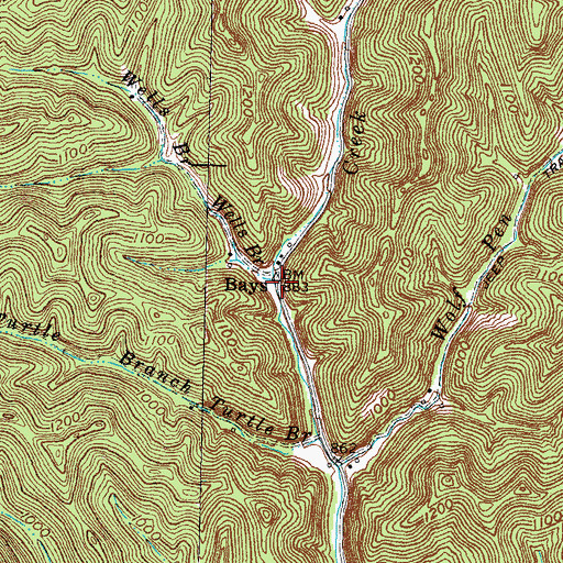 Topographic Map of Bays, KY