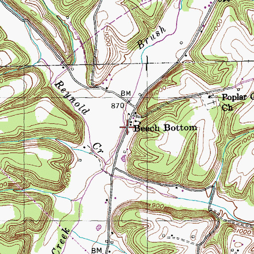 Topographic Map of Beech Bottom, KY
