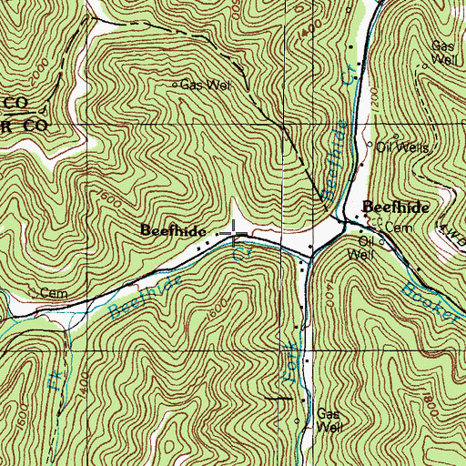 Topographic Map of Beefhide, KY