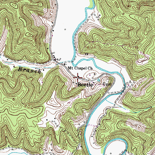 Topographic Map of Beetle, KY
