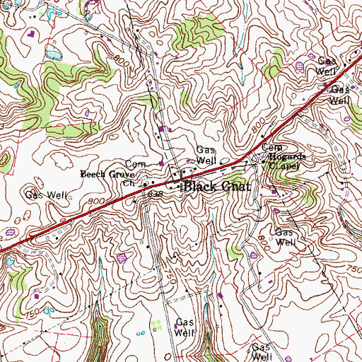Topographic Map of Black Gnat, KY