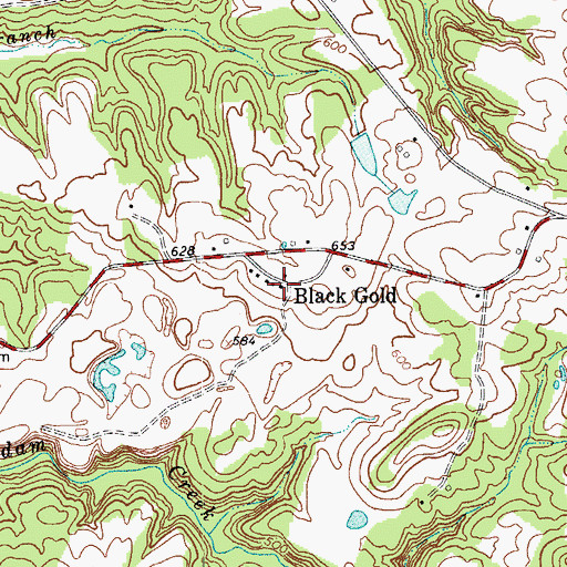 Topographic Map of Black Gold, KY