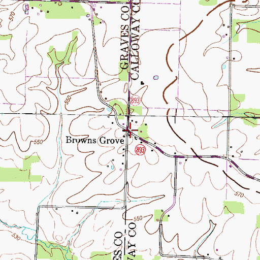 Topographic Map of Browns Grove, KY