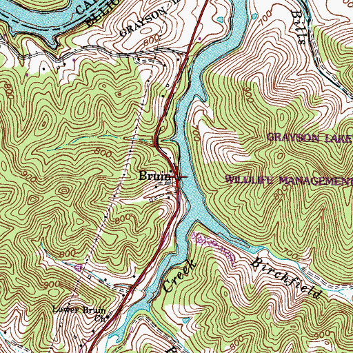 Topographic Map of Bruin, KY