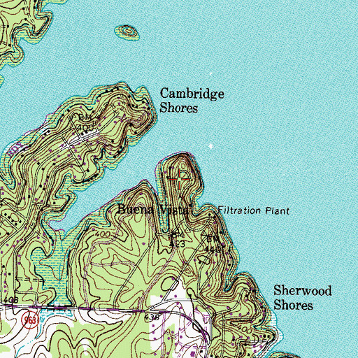 Topographic Map of Buena Vista, KY
