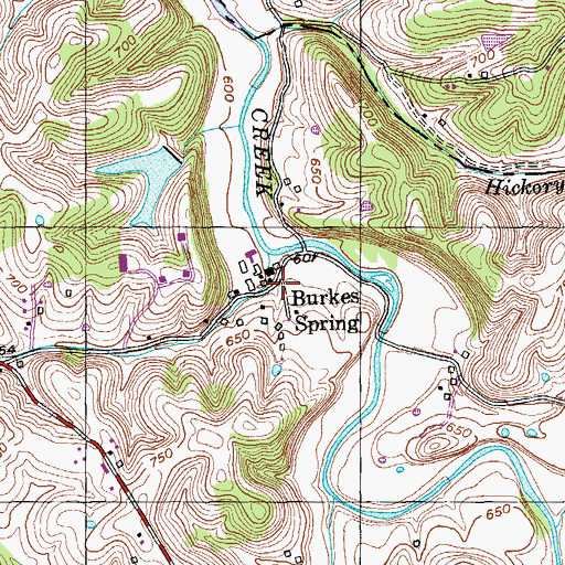 Topographic Map of Burkes Spring, KY