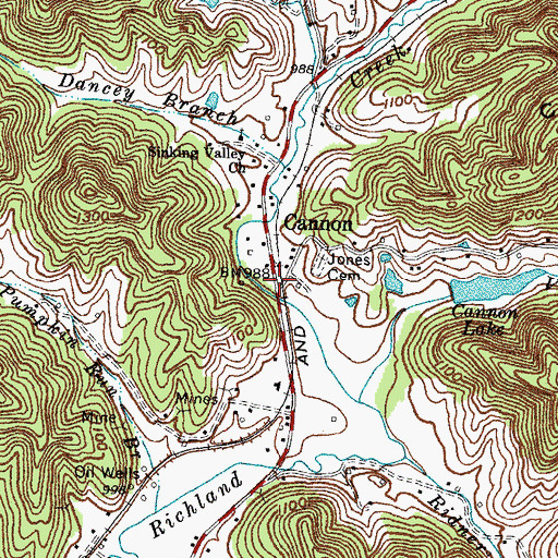 Topographic Map of Cannon, KY