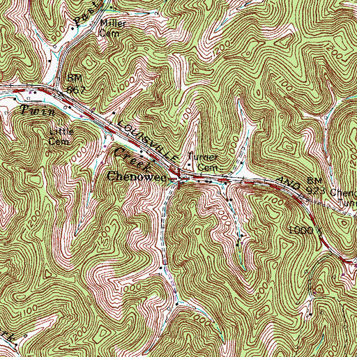 Topographic Map of Chenowee, KY