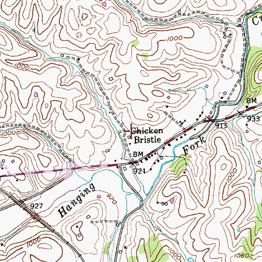 Topographic Map of Chicken Bristle, KY