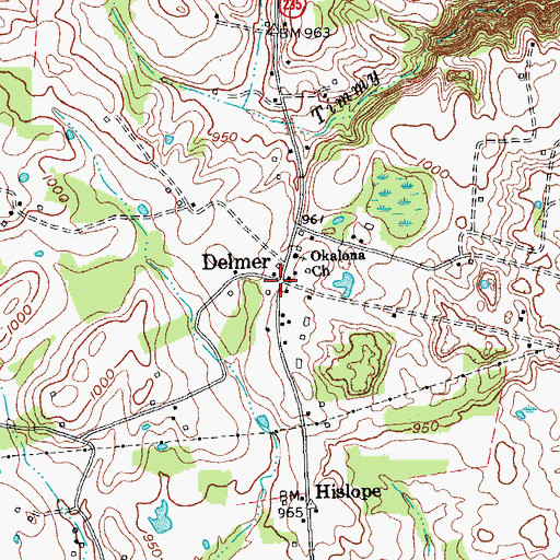 Topographic Map of Delmer, KY
