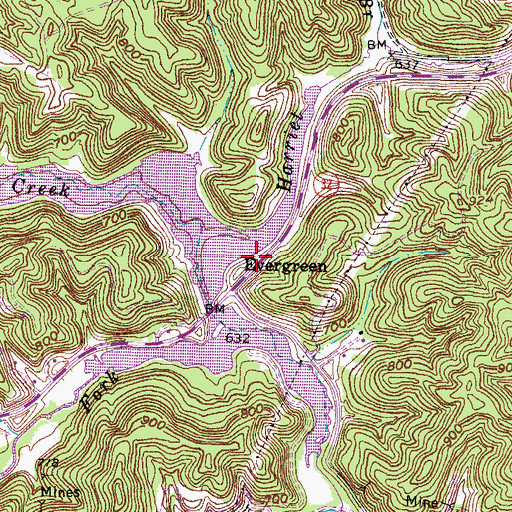 Topographic Map of Evergreen, KY