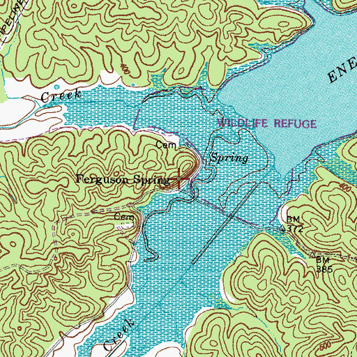 Topographic Map of Ferguson Spring, KY